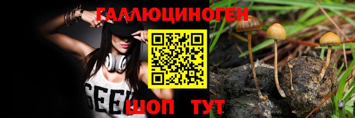 Владимир  Псилоцибиновые грибы мухоморы  Вход с VPN  Галлюциногенные грибы Cubensis 